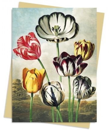 Atklātne ar aploksni Temple of Flora: Tulips
