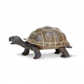 Figūra Galapagu bruņurupuča mazulis