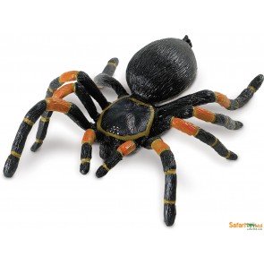 Figūra zirneklis Tarantuls Orange-kneed