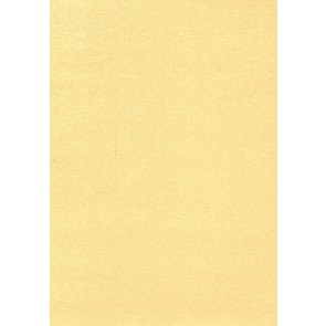 Papīrs A4 220 g 10 loksnes laškrāsas Gardenia