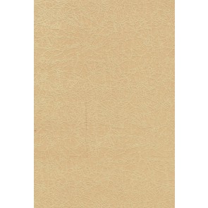 Papīrs A5 220 g 10 loksnes laškrāsas Gardenia