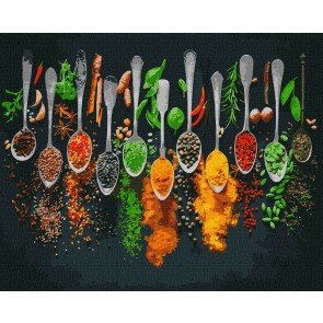 Gleznošana pēc numuriem 40x50 Spices of the world