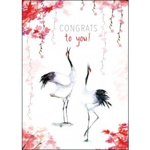 Atklātne Congrats to you! (cranes/kraanvogels), Michelle Dujardin