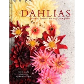 Dahlias: Beautiful varieties for home and garden
