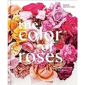 Color of Roses: A Curated Spectrum of 300 Blooms