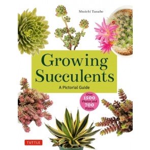 Growing Succulents: A Pictorial Guide to Planting and Design