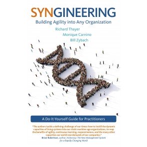 Syngineering: Building Agility into Any Organiza - A Do-It-Yourself Guide for Practitioners
