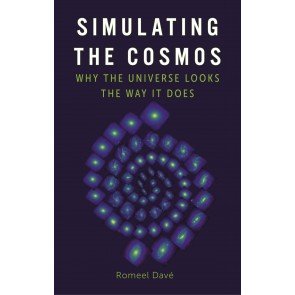 Simulating the Cosmos: Why the Universe Looks the Way It Does