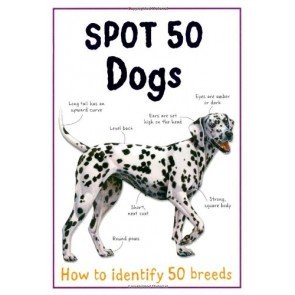 Spot 50: Dogs
