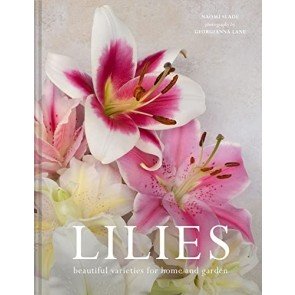 Lilies: Beautiful varieties for home and garden