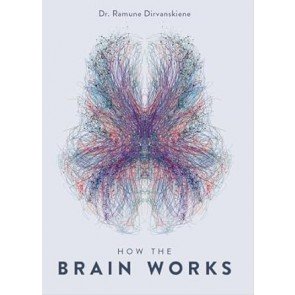 How the brain works: Frequently asked questions answered by a neuropsychologist