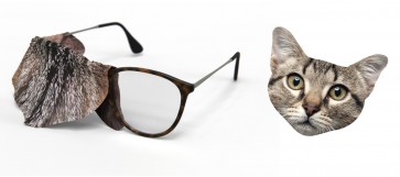 Lupatiņa brillēm Kaķis