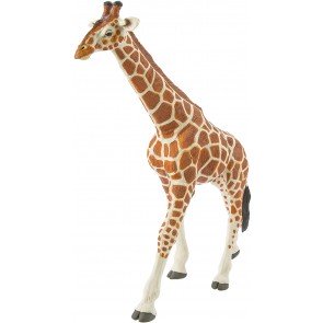 Figūra Žirafe Somālijas