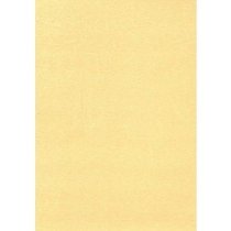 Papīrs A4 220 g 10 loksnes laškrāsas Gardenia