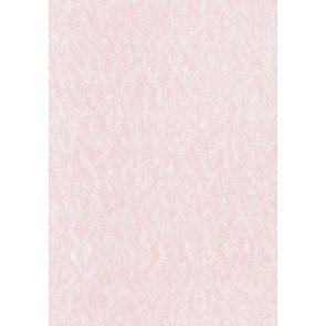 Papīrs A4 160 g 10 loksnes gaiši rozā Camelia