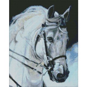 Mozaīka ar akrila dimanta slīpējuma gabaliņiem 40x50 Proud horse