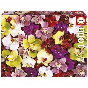 Puzle 1000 Orchids ar līmi