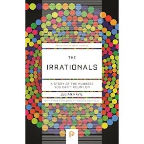 Irrationals: A Story of the Numbers You Can't Count On