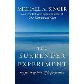 Surrender Experiment: My Journey into Life's Perfection