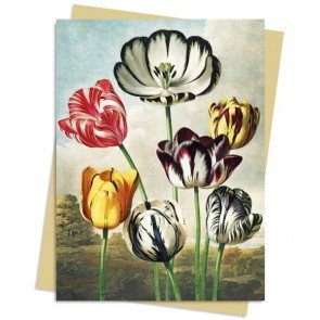 Atklātne ar aploksni Temple of Flora: Tulips