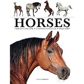 Horses (Mini Encyclopedia)