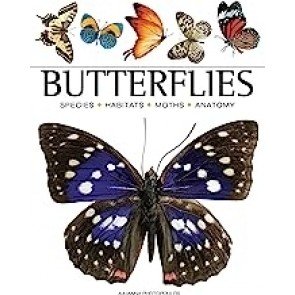 Butterflies (Mini Encyclopedia)