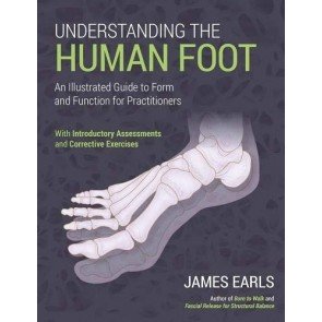 Understanding the Human Foot
