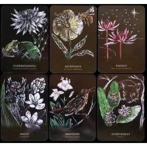 Flowers of the Night Oracle: (grāmata un 44 kārtis)