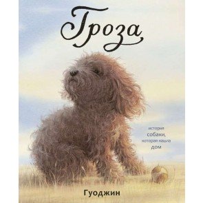 Гроза: История собаки, которая нашла дом