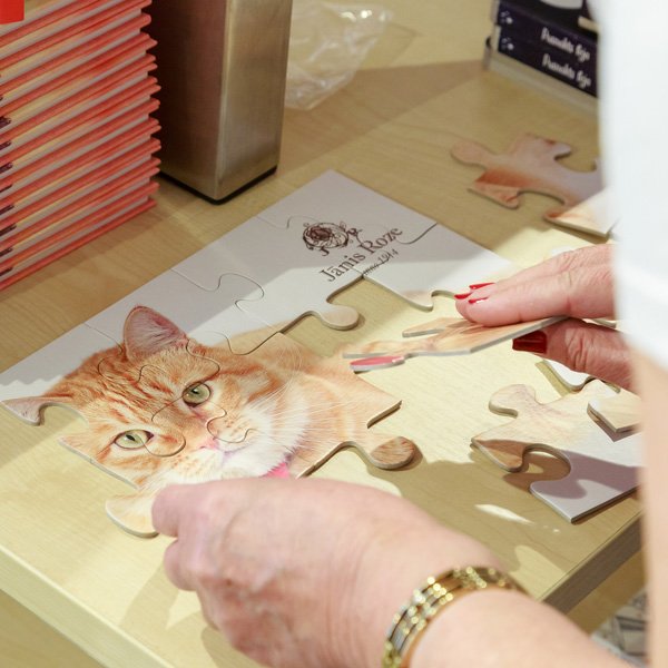 Tomcat Leo: Summer as a Jigsaw Puzzle